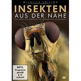 Insekten aus der Nähe