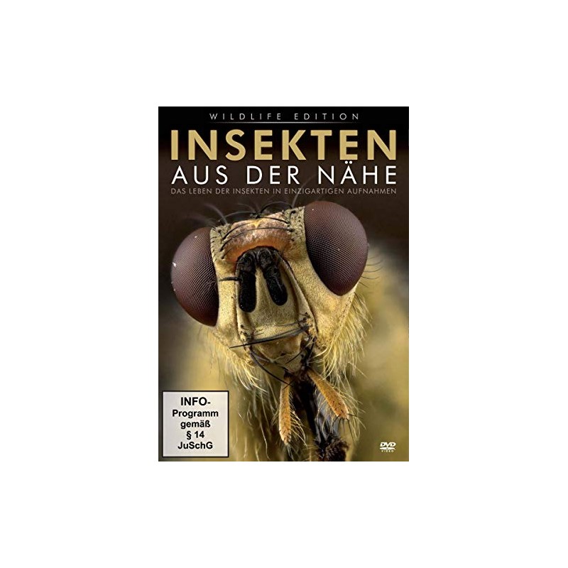 Insekten aus der Nähe