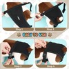 DDFS Dog Pants with 3 Replace Diaper, Female Dog Heat