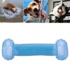 Pet Cooling Chew Toy BiteResistant TPR Pet Teething Toys Cooling