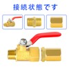 TAILONZ PNEUMATIC 2 Point 1/4" Brass Inner and Outer Thread