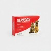 Ge Rioox 30 Tab Labyes Suplemento Perro Senior