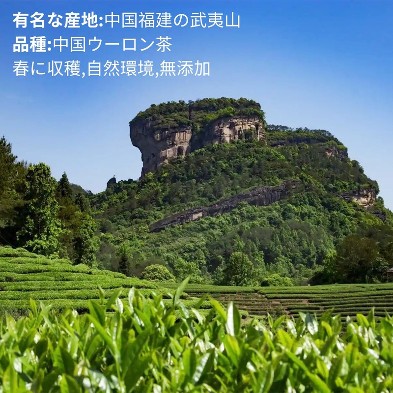 XIXICHA Oolong Tea Large Red Hong, Chinese Tea, Oolong Tea,