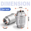 Bwintech 1 Pc Check Valve, 3/4" BSP Female Thread Stainless