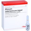 Zincum Valerianicum Injeel Ampoules Pack of 10