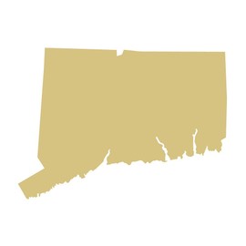 States Cutout Unfinished Wood United States Geography School Decor Door Hanger MDF Shape Canvas Style 1 (22", CT)