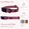 Hot Doggies Essential Dog Walking Bundle. 6 COLOURS AVAILABLE. Includes