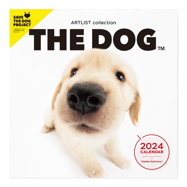 THE DOG Large 2024 Calendar (Golden Retriever)