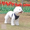 犬用 すっぽ抜けない 着脱簡単 セーフティーロック付 抗菌防臭加工 スーパーハーネス＆リードセット トリコロールネオ【グレー】【6号】（9713）アクティブな子 気の弱い子 気管や頸椎の弱い子 パピーや老犬の介護用に