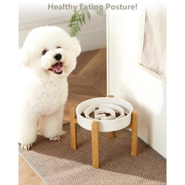 MOPANG Ceramic Slow Feeder Dog Bowls Elevated for Medium and Large Breed, 2.0 Cups Dog Slow Feeder with Wooden Stand, Puzzle Dog Bowl to Slow Down Eating, Maze Dog Bowl, 30oz, 8in, White