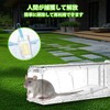 Indoor and outdoor live mouse catch, indoor non-lethal mouse catch,
