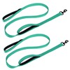 Aepeasti Dog Leash for Medium to Large Dogs with Two