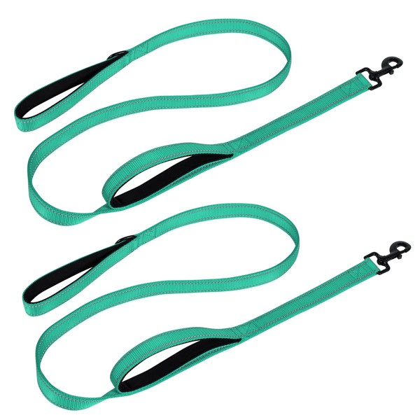 Aepeasti Dog Leash for Medium to Large Dogs with Two