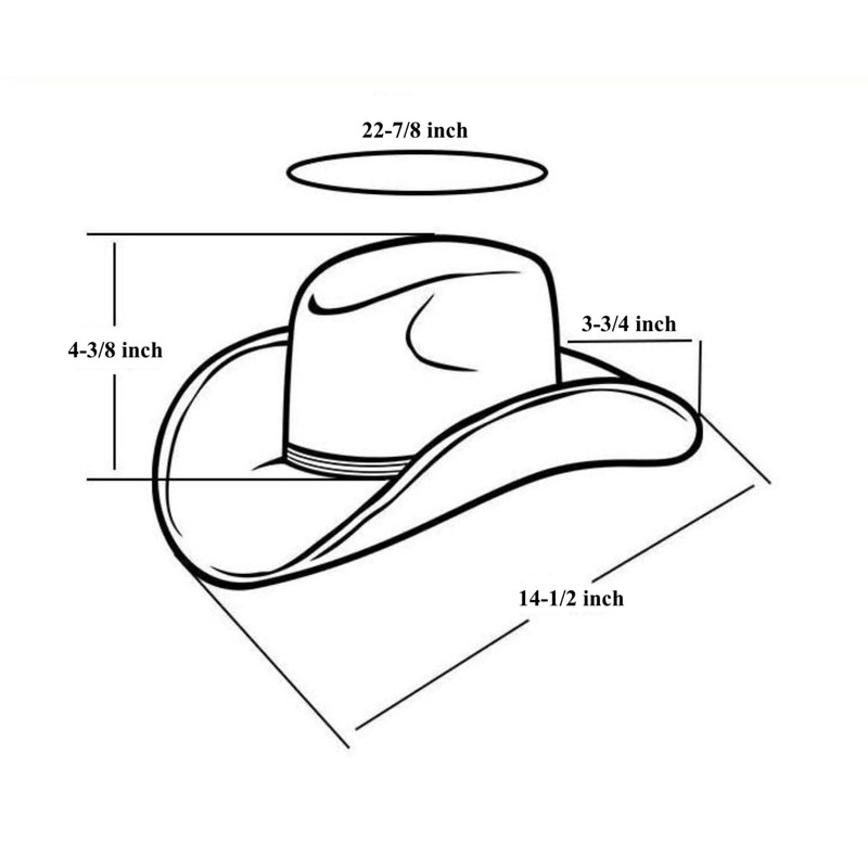 THE CELL Straw Cowboy Hat (Winged Skull_Black)