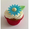 12 Gorgeous Mixed Colour Edible Wafer Daisies & 12 Pretty