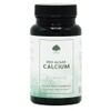Red Algae Calcium | Natural Source of Calcium | Provides