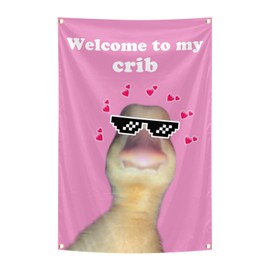 Welcome To My Crib Flag 2x3 Feet Tapestry With 4 Brass Grommets. Funny Flag for Teen Girls Room Indoor Outdoor Bedroom and College Dorm Wall Decor Banner. (pink)