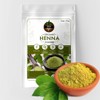 Terra ORGANICS Heena & INDIGO POWDER -100 Gm