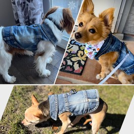 LKEX Dog Jean Jacket, Blue Denim Shirt Classic Lapel Vest Coat Costume Puppy T-Shirt, Comfort Tank Top Cool Apparel, Washed Pet Clothes for Dogs Boy Girl (with D-Ring, Medium)