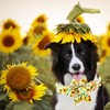 Sunflower Dog Collar - Adjustable for Large Girls with Flower