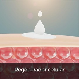 Crema Corporal Sándalo 10 Litros – Hidratante Natural de Uso Diario Libre de Parabenos para Todo Tipo de Piel