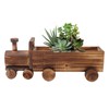 Wooden Flower Pot Cartoon Train Shape Good Ventilation Succulent Flower