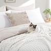 RUIKASI Fleece Throw Blanket for Sofa - White Single Fluffy