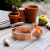 Slug Rings Copper Snail Rings Starter Kit 3 x 10cm