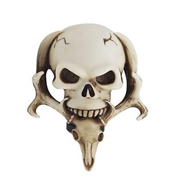 Sakali Specail Skull with Beard Car Gear Stick Shift Shifter Knob Universal fit for Most Manual Transmission or Automatic Transmission Without Lock Button(Beige)