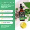 Tiuedu Jamaican Black Castor Oil for Hair Growth,Thicker Eyelashes &