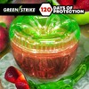 GREENSTRIKE 2-Pack Fruit Fly Traps for Indoors use. 120 Days