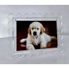 Graham Design Collective 2 Pack of 5 x 7 Clear