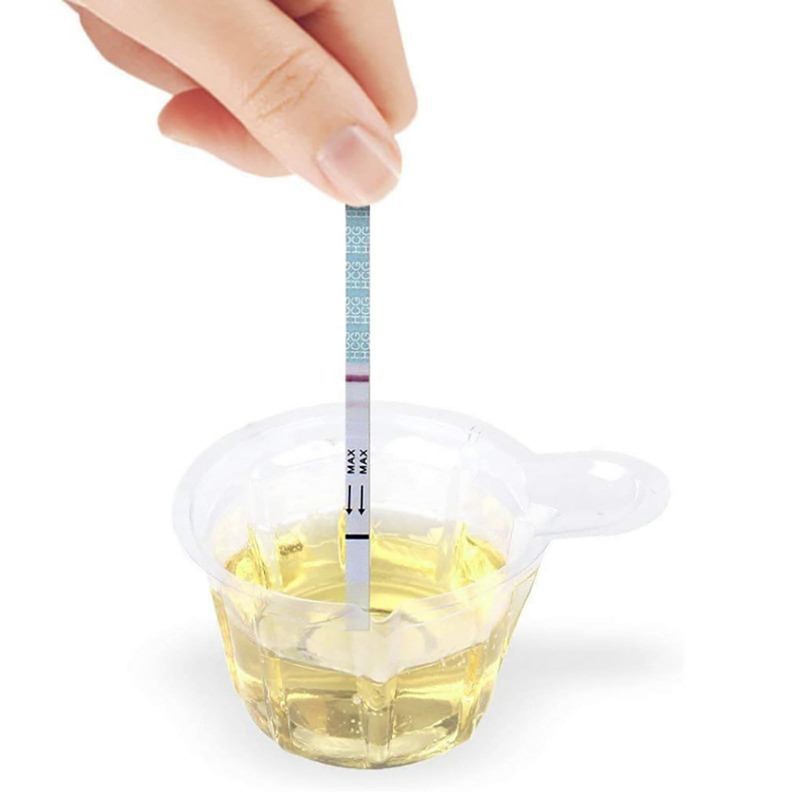 200Pcs Transparent Clear Urine Container CupUseful Disposable Urine Cup Helpful