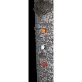 Hunting Made Easy HME-RWT-25-W Reflective Wing Tack (25 Pack