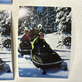 Vintage Arctic Cat Post Cards, Set Of 6