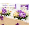 Royal Imports Florero acrílico Rectangular - Centro de Mesa Decorativo,