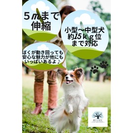 Dog Leash Telescopic Leash 16.4 ft (5 m) Retractable Dog Leash Automatic Retractable Load 33.1 lbs (15 kg) Suitable for Small and Medium Dogs, Outings, Anti-Slip, Walks, Lightweight (Blue)