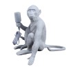 Unbranded Monkey Table Lamp Nordic Light Resin Simian Hanging Rope
