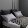 TELUS Pillow Cases Queen Size 2 Pack, Bamboo Rayon &