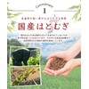 Warm Farm Domestically Produced in Japan Tea Bag, Additive-free, 0.2
