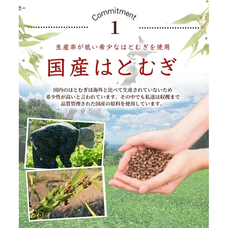 Warm Farm Domestically Produced in Japan Tea Bag, Additive-free, 0.2