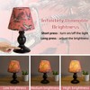 HOMMAX Cordless Table Lamp,Rechargeable Battery Lamps with Dimmable Touch Control,USB