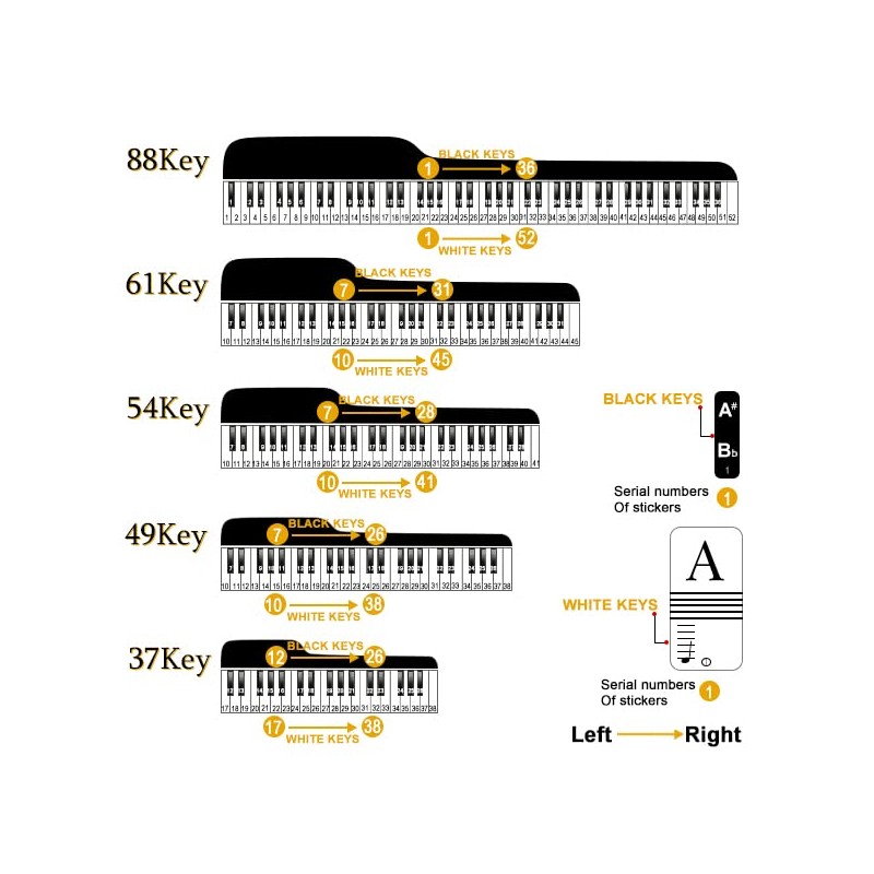 Piano Stickers Keyboard Key Note: Removable Piano Keyboard Note Labels