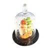 APS GH408 Slate Tray With Glass Cloche, 80 mm H