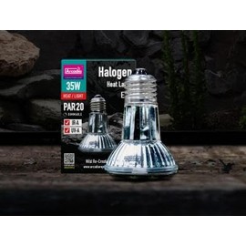 Arcadia Halogen Heat Lamp-35 Watt