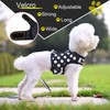 Small Dog Harness and Leash Set Small Pet Harness, Adjustable