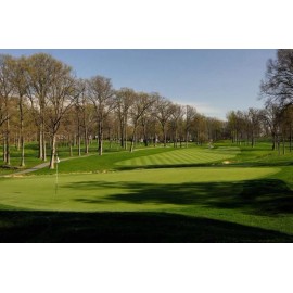 Penncross Creeping Bentgrass Seeds - 1 Lbs.