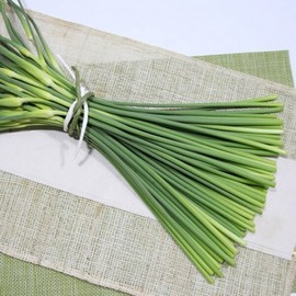 2 kg (special) of soft and crunchy Namhae garlic species delivered directly from the producer / 산지직송 부드럽고 아삭한 남해 마늘종 2kg(특)