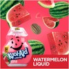 Kool Aid Flavor Variation (1.62 Fl Oz (Pack of 12),