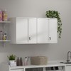 IRONFFICE Steel Wall Cabinet,Kitchen Cabinets Wall Mounted with Doors,Wall Mount